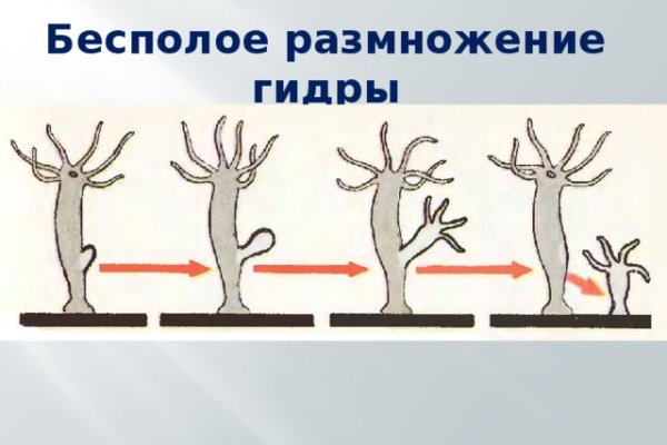 Кракен маркетплейс официальный сайт