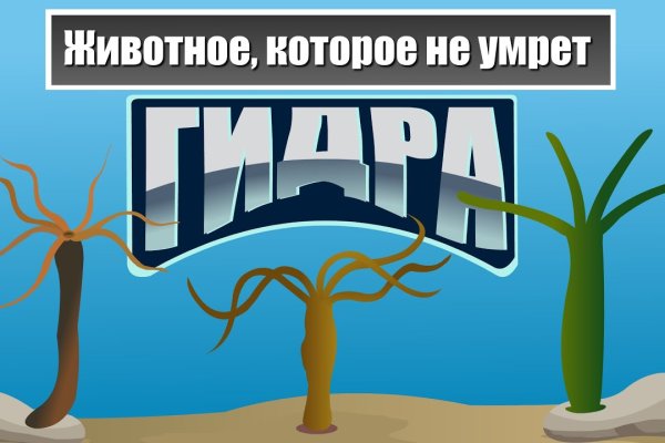 Кракен сайт ссылка тор браузере